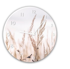 Middle_gc084_grasses_fi30_s