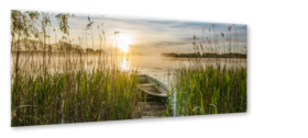 Middle_ex579_boat_in_the_grass_50x125_s