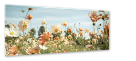 Middle_gl306_yellow_meadow_50x125_s