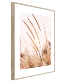 Middle_ab078_grasses_i_50x70_s
