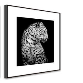 Middle_ab126_leopard_50x50_s